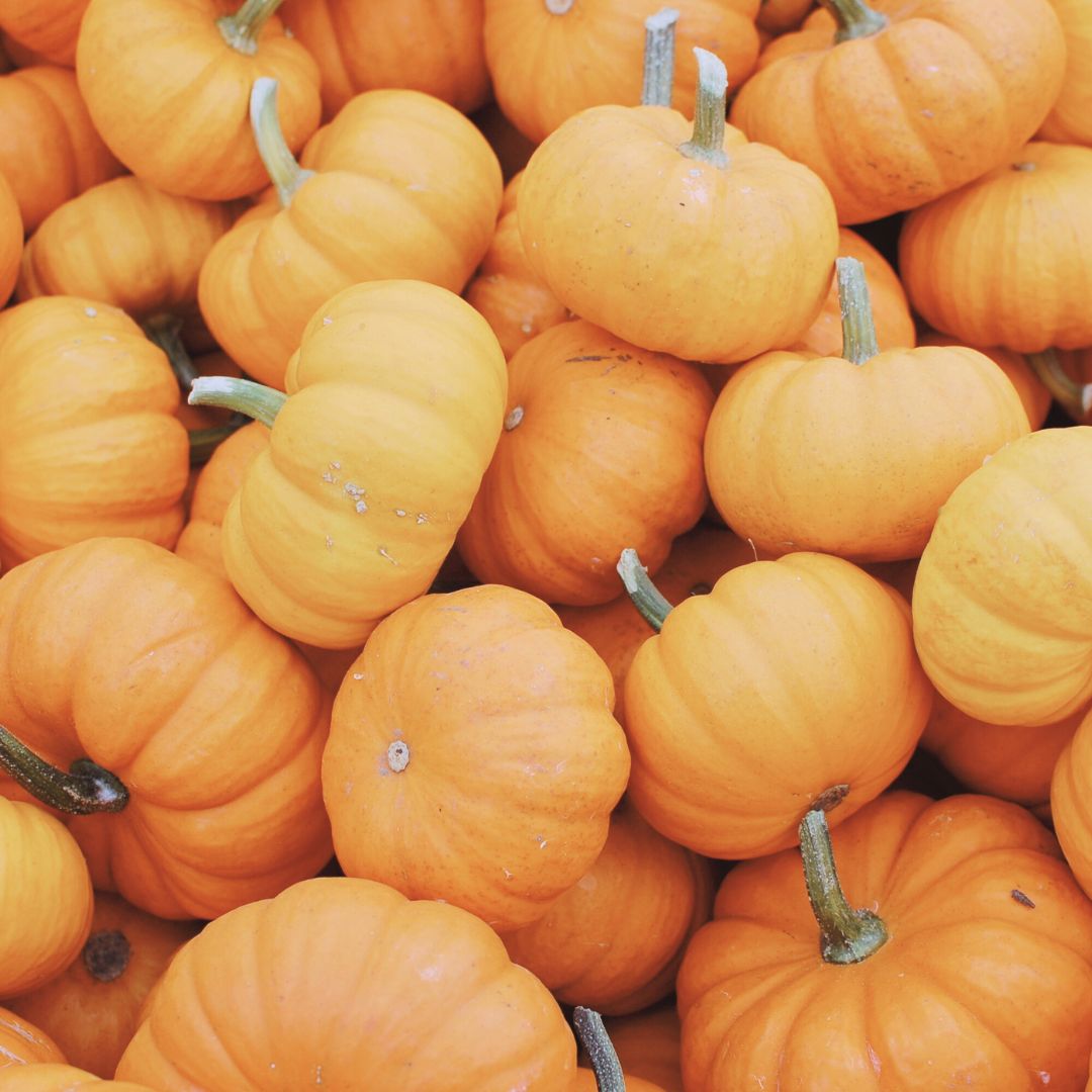 Pumpkin Solar Spice | Cuticle Oil Pen